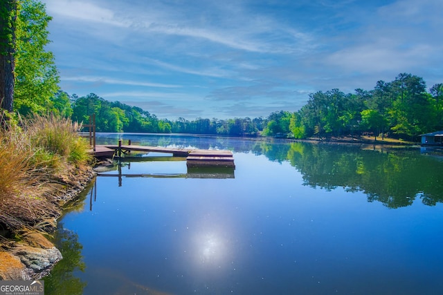 water view featuring a wooded view and a boat dock