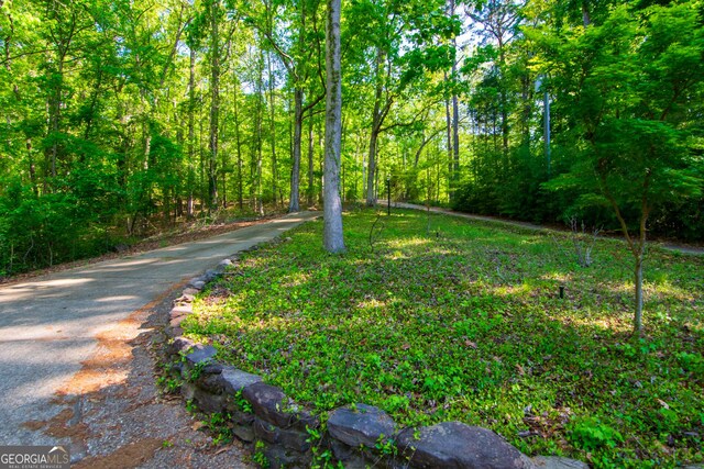 exterior space with a view of trees and driveway