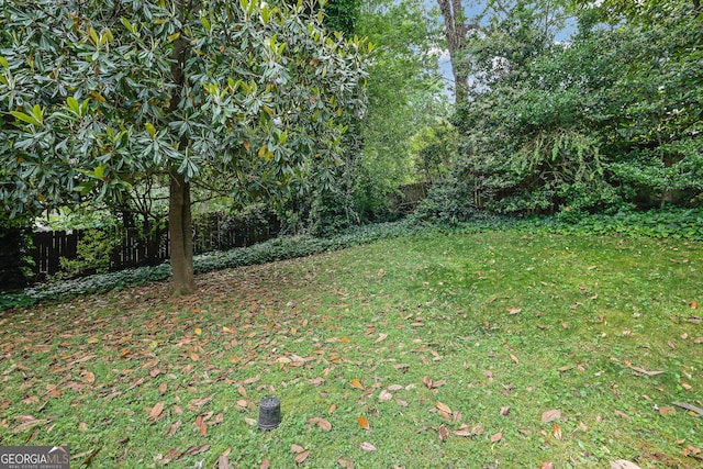 view of yard