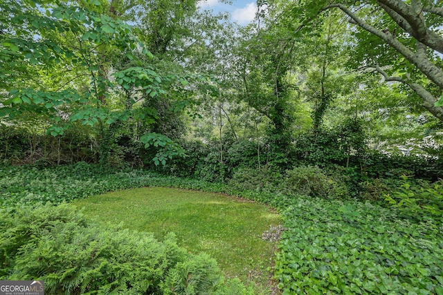 view of yard featuring a view of trees
