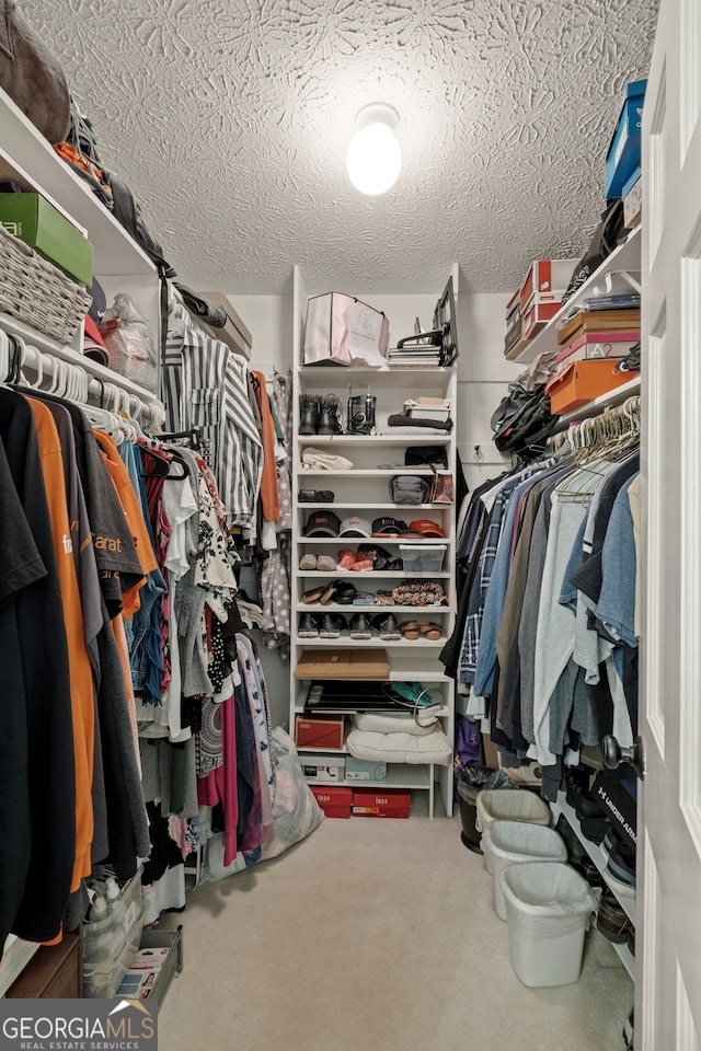 spacious closet with carpet floors