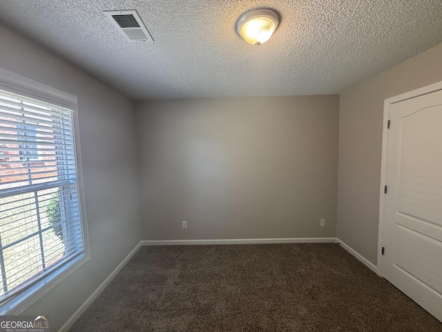 1365 Jubilee Ln, Mcdonough, GA 30253 - carpeted spare room with baseboards, visible vents, a textured ceiling, and a healthy amount of sunlight