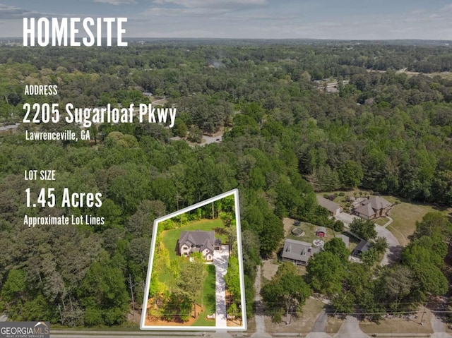 2205 Sugarloaf Pkwy, Lawrenceville, GA 30045 - aerial overview of property's location with a forest and property boundaries highlighted