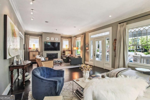 living room featuring ornamental molding, baseboards, dark wood-style flooring, and a fireplace