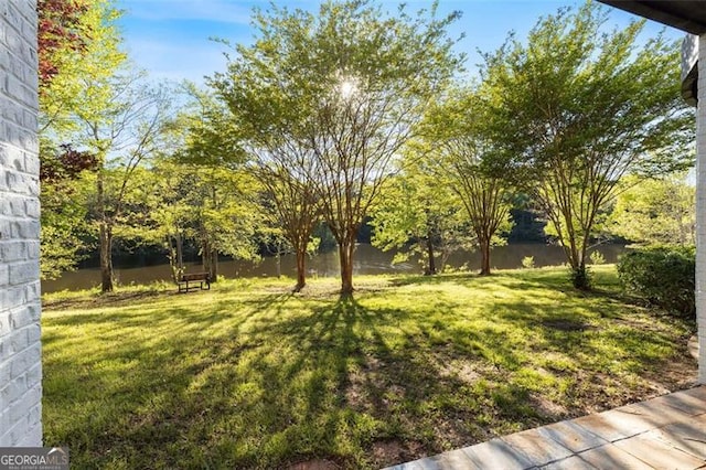 6509 Lily Trl, Fairburn, GA 30213 - view of yard