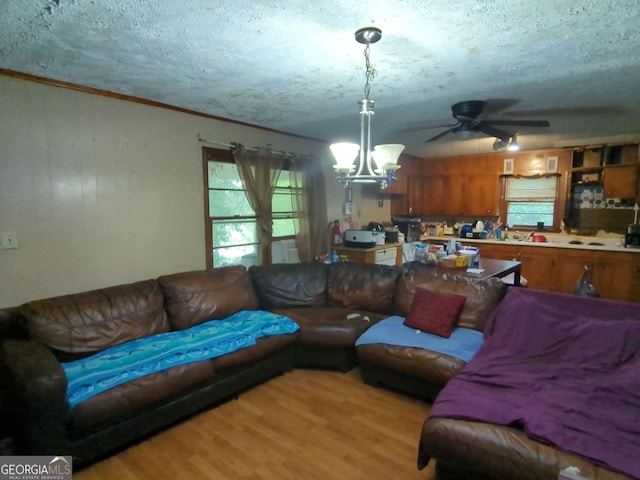 3033 Manchester Dr, Macon, GA 31206 - living area with ornamental molding, ceiling fan with notable chandelier, a textured ceiling, and light wood-style flooring