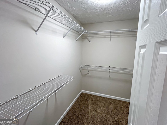 417 Bell Flower Trl, Locust Grove, GA 30248 - spacious closet with carpet flooring