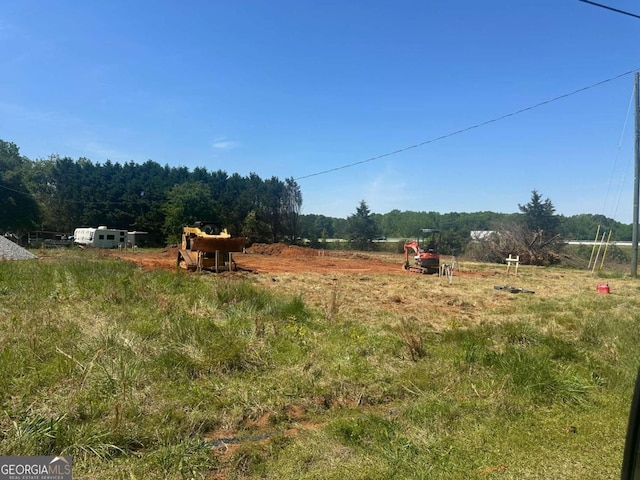 2751 Paoli St, Comer, GA 30629 - view of yard featuring a view of rural / pastoral area and a forest view