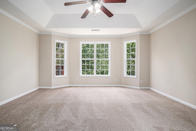 empty room featuring carpet flooring, visible vents, and a raised ceiling