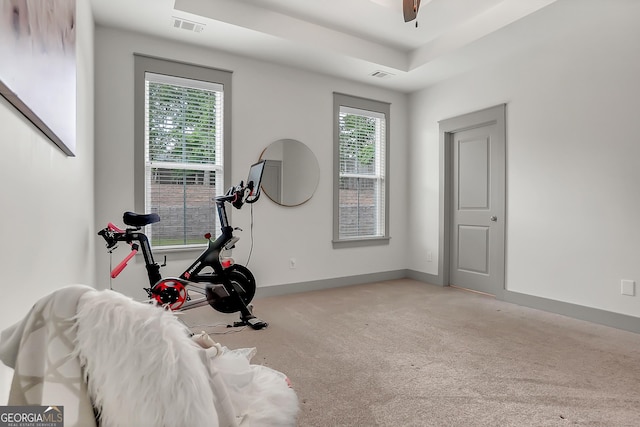 303 Wilsons Creek Bnd, Bonaire, GA 31005 - exercise area with visible vents, plenty of natural light, and light carpet