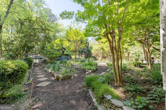 511 Oakdale Rd, Canton, GA 30114 - view of yard