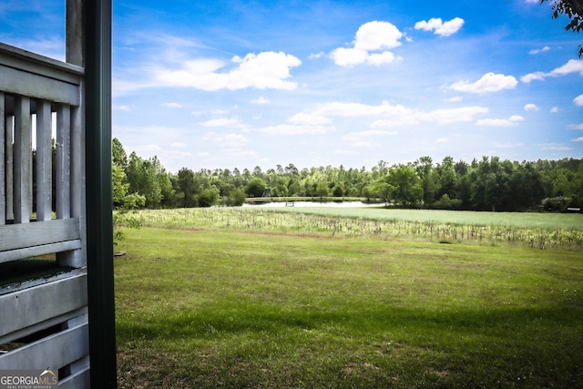 5524 Hooker Branch Rd, Millen, GA 30442 - view of green lawn with a water view