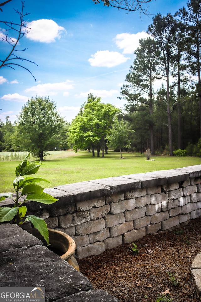 5524 Hooker Branch Rd, Millen, GA 30442 - view of green lawn