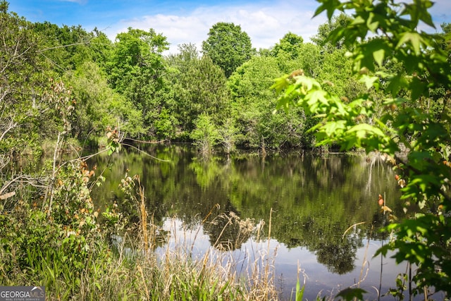 5524 Hooker Branch Rd, Millen, GA 30442 - water view with a heavily wooded area
