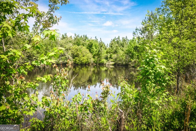 5524 Hooker Branch Rd, Millen, GA 30442 - water view