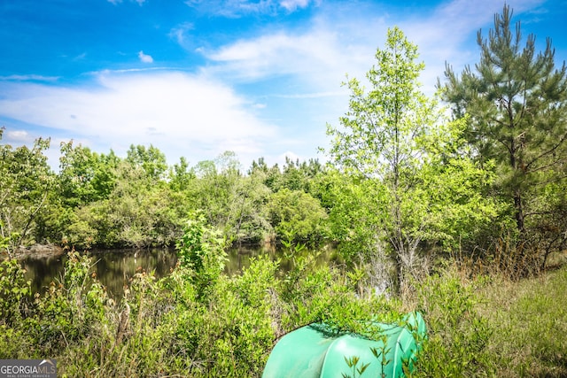 5524 Hooker Branch Rd, Millen, GA 30442 - view of undeveloped land featuring a nearby body of water