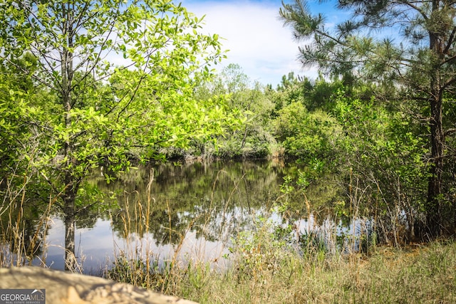 5524 Hooker Branch Rd, Millen, GA 30442 - water view