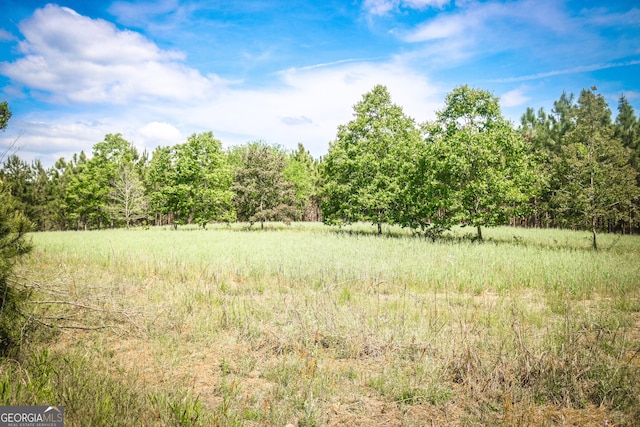 5524 Hooker Branch Rd, Millen, GA 30442 - view of woods