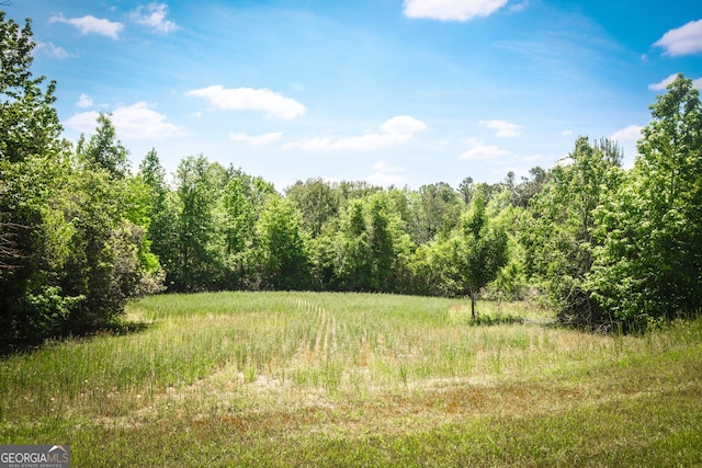 5524 Hooker Branch Rd, Millen, GA 30442 - view of woods