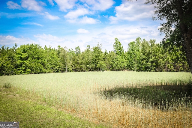 5524 Hooker Branch Rd, Millen, GA 30442 - view of wooded area
