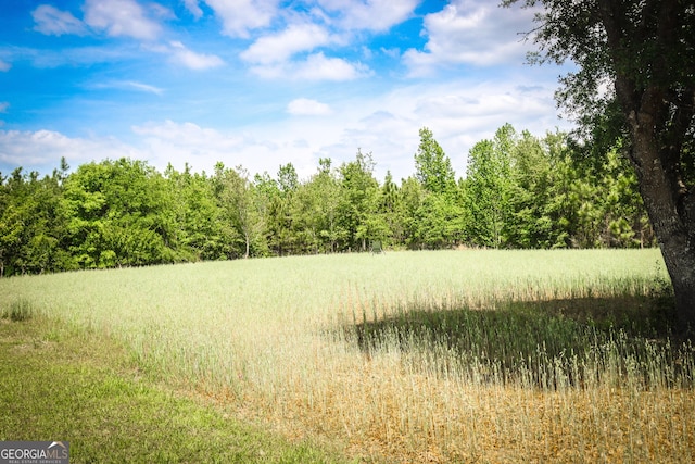 5524 Hooker Branch Rd, Millen, GA 30442 - view of wooded area