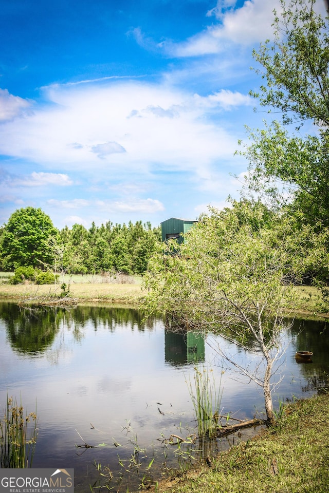 5524 Hooker Branch Rd, Millen, GA 30442 - water view