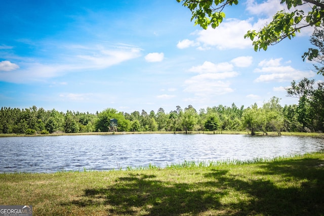 5524 Hooker Branch Rd, Millen, GA 30442 - water view with a forest