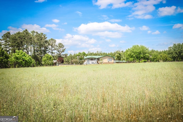 5524 Hooker Branch Rd, Millen, GA 30442 - view of yard