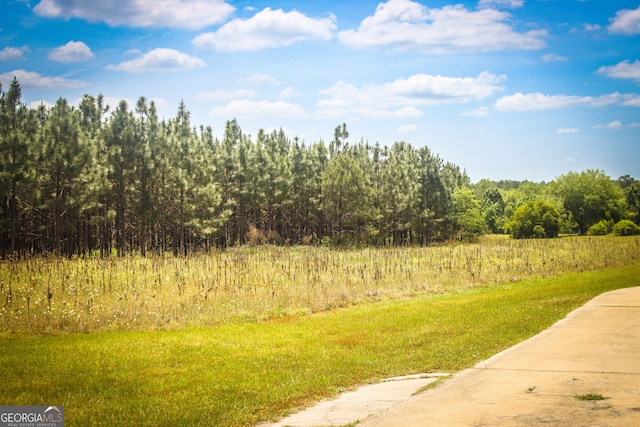 5524 Hooker Branch Rd, Millen, GA 30442 - view of yard featuring a wooded view