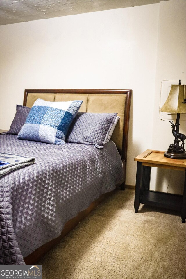 5524 Hooker Branch Rd, Millen, GA 30442 - view of carpeted bedroom