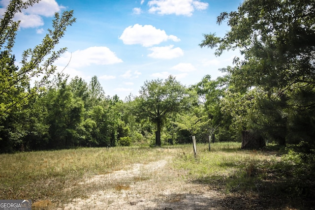 5524 Hooker Branch Rd, Millen, GA 30442 - view of wooded area