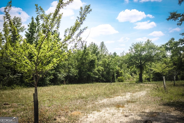 5524 Hooker Branch Rd, Millen, GA 30442 - view of woods