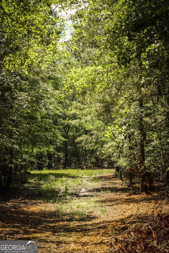 5524 Hooker Branch Rd, Millen, GA 30442 - view of wooded area