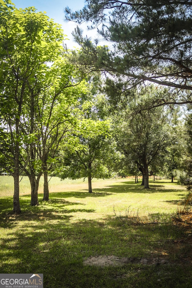 5524 Hooker Branch Rd, Millen, GA 30442 - view of grassy yard