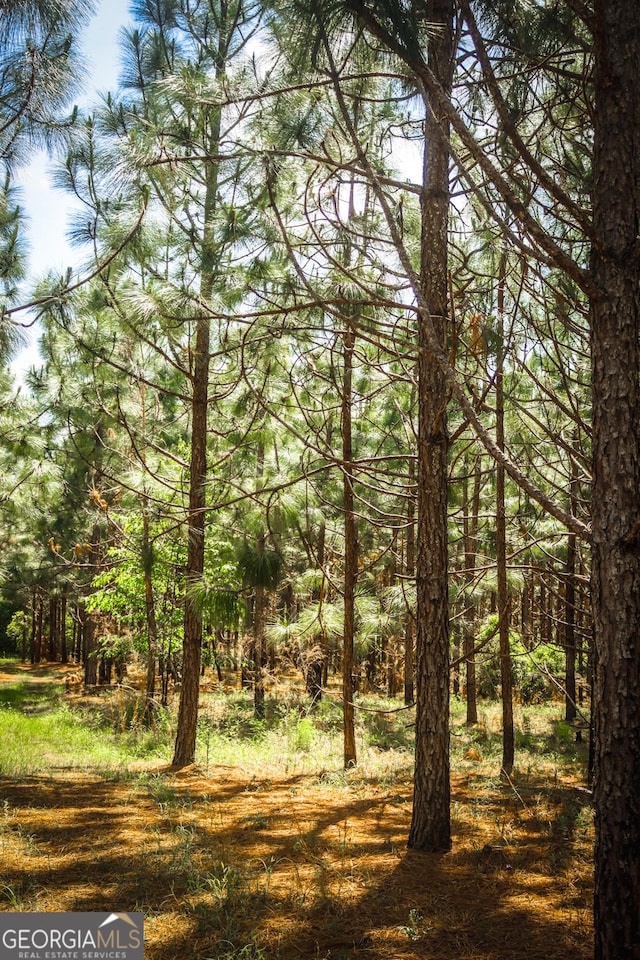 5524 Hooker Branch Rd, Millen, GA 30442 - view of wooded area