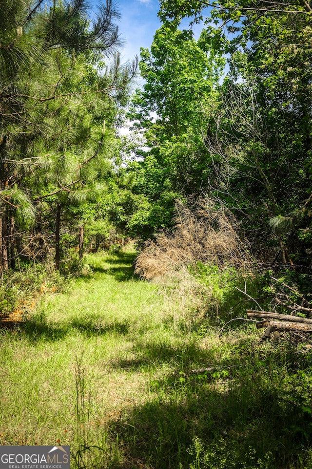 5524 Hooker Branch Rd, Millen, GA 30442 - view of nature