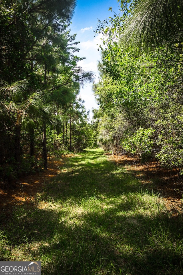 5524 Hooker Branch Rd, Millen, GA 30442 - view of yard