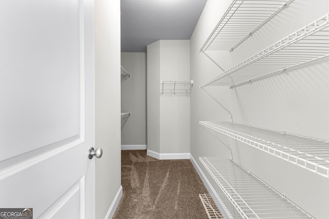 517 Lago Ct, Lagrange, GA 30241 - walk in closet with carpet
