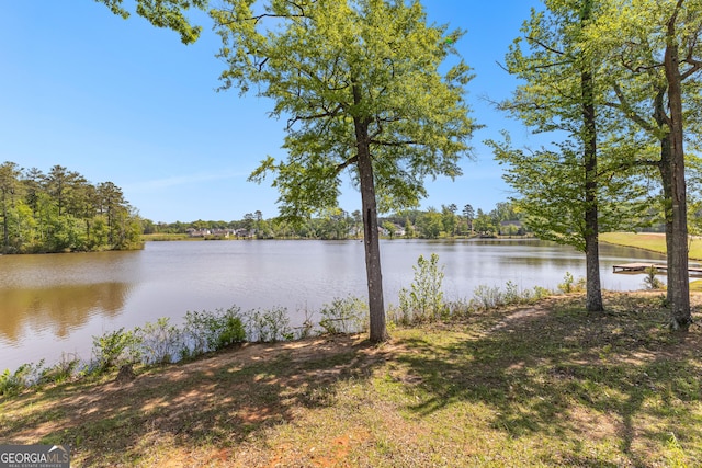 517 Lago Ct, Lagrange, GA 30241 - property view of water