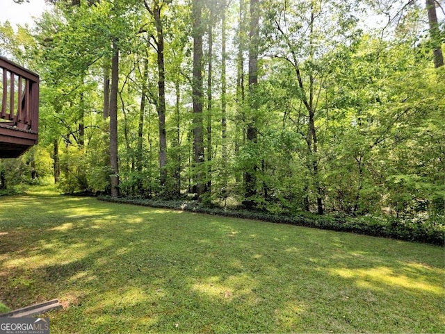 view of yard