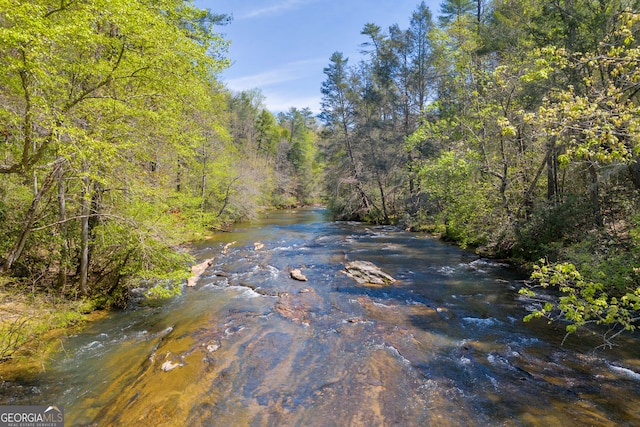 499 Old Deer Path Way, Cleveland, GA 30528 - view of water feature with a forest view