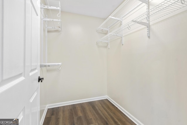 499 Old Deer Path Way, Cleveland, GA 30528 - walk in closet featuring dark wood-style floors