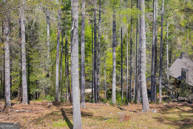 499 Old Deer Path Way, Cleveland, GA 30528 - view of local wilderness with a view of trees