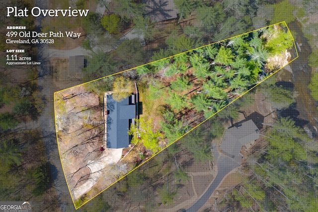 499 Old Deer Path Way, Cleveland, GA 30528 - drone / aerial view