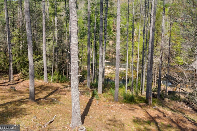 499 Old Deer Path Way, Cleveland, GA 30528 - view of nature