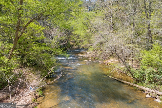 499 Old Deer Path Way, Cleveland, GA 30528 - view of water feature