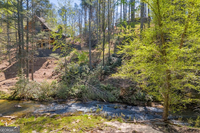 499 Old Deer Path Way, Cleveland, GA 30528 - view of nature