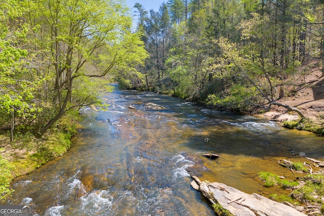 499 Old Deer Path Way, Cleveland, GA 30528 - property view of water