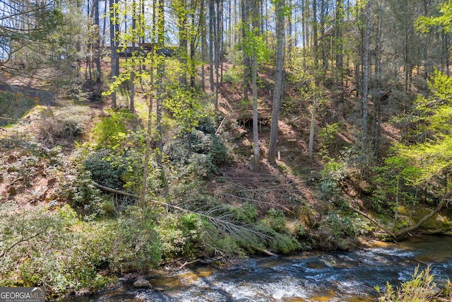 499 Old Deer Path Way, Cleveland, GA 30528 - view of local wilderness