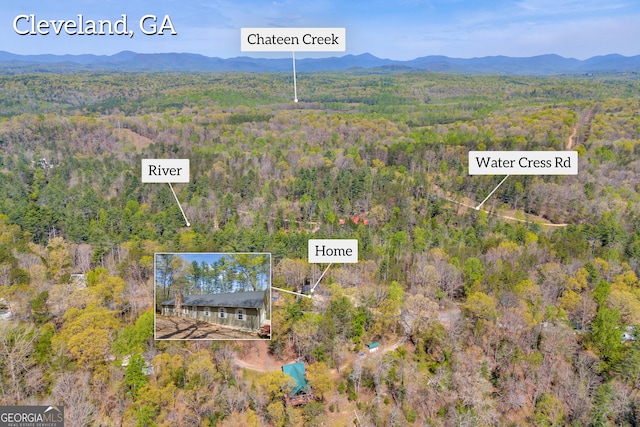 499 Old Deer Path Way, Cleveland, GA 30528 - birds eye view of property featuring a wooded view and a mountain view